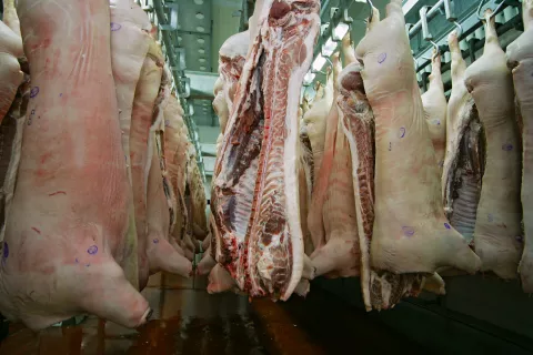 Manage temperatures according to regulatory requirements